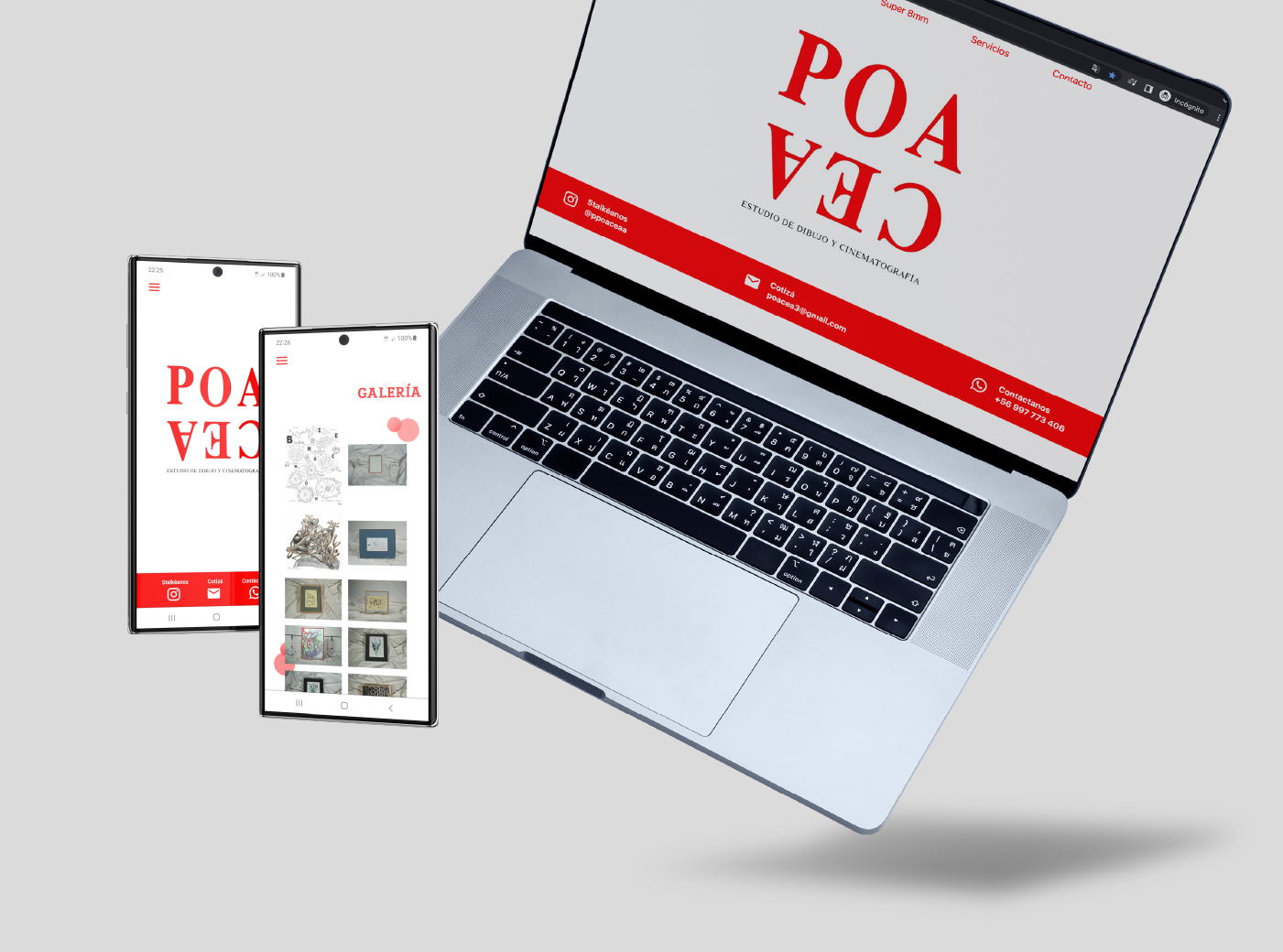 Proyecto POACEA vista 6